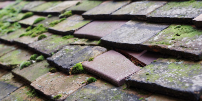 Way Wick roof repair costs